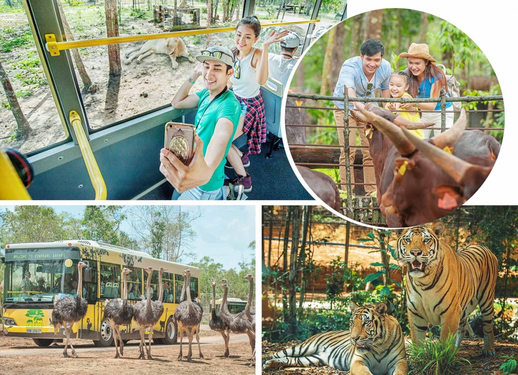Vinpearl Safari