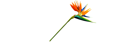 Phân khu biệt thự Coral Hawaii
